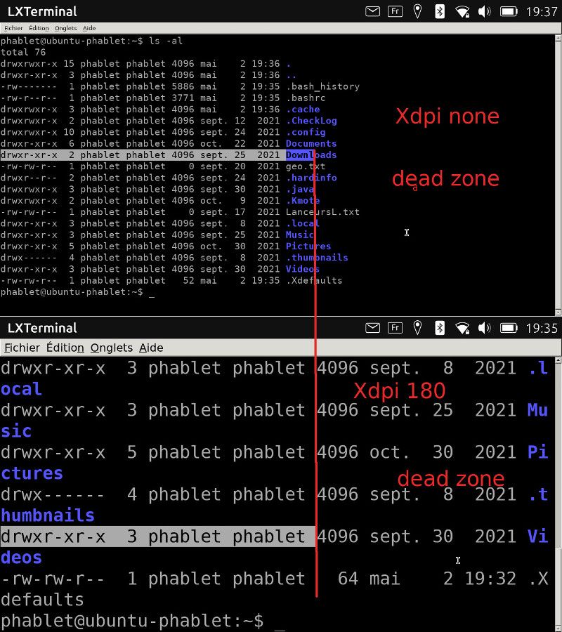 LTT-XdpiManagementLXTerm-800.jpg